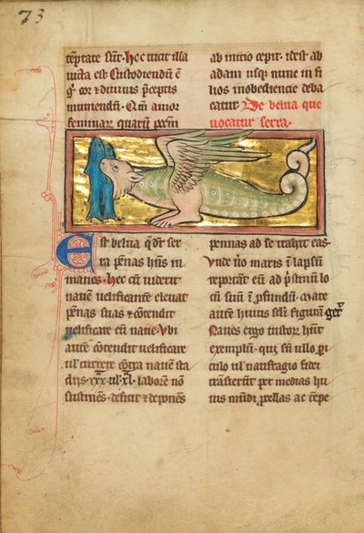 Animale simile a un drago con ali da Unbekannt Unbekannt
